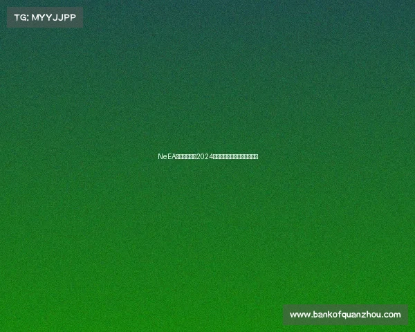 NeEA人工智能赛事2024盛大开幕引领科技创新新浪潮